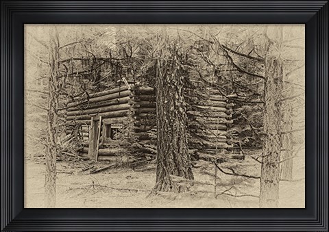 Framed Cabin in the Woods Print