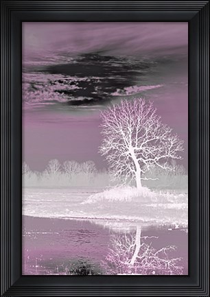 Framed Pink Vision Print