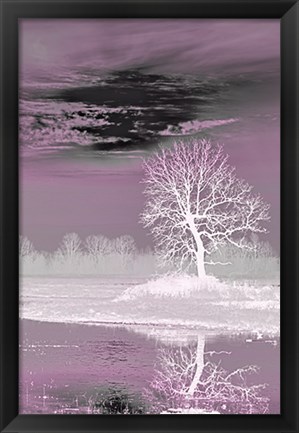 Framed Pink Vision Print