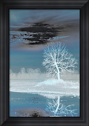 Framed Teal Vision Print