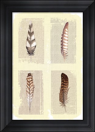 Framed Traditional Figurative Feathers Print