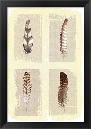 Framed Traditional Figurative Feathers Print