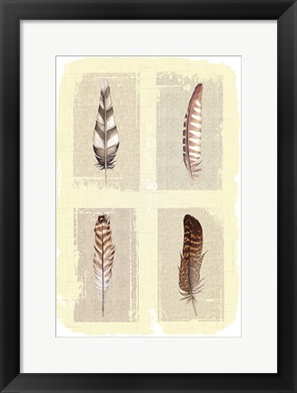 Framed Traditional Figurative Feathers Print