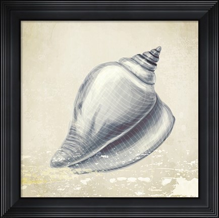 Framed Coastal II Print