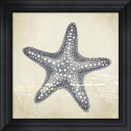 Framed Coastal III Print