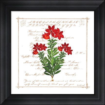 Framed Floral I Print