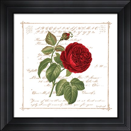 Framed Floral V Print