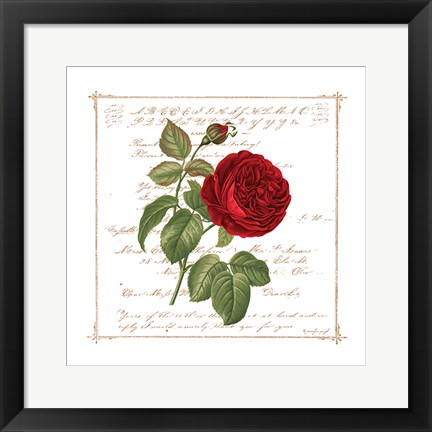 Framed Floral V Print