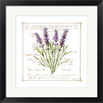 Framed Floral III Print