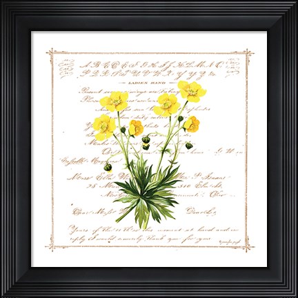 Framed Floral VI Print