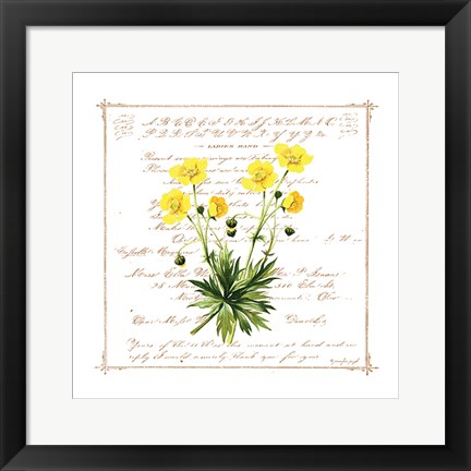 Framed Floral VI Print