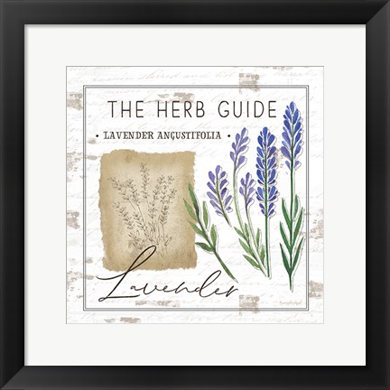 Framed Herb Guide - Lavender Print