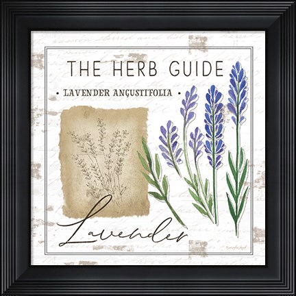 Framed Herb Guide - Lavender Print