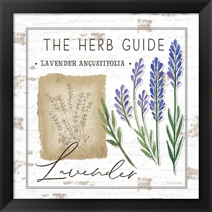 Framed Herb Guide - Lavender Print