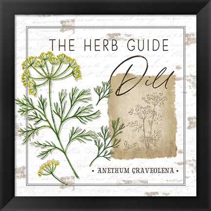 Framed Herb Guide - Dill Print