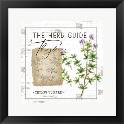 Framed Herb Guide - Thyme Print
