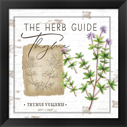 Framed Herb Guide - Thyme Print