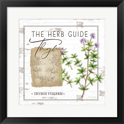 Framed Herb Guide - Thyme Print