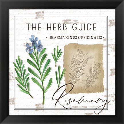 Framed Herb Guide - Rosemary Print