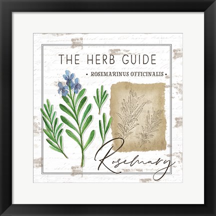 Framed Herb Guide - Rosemary Print