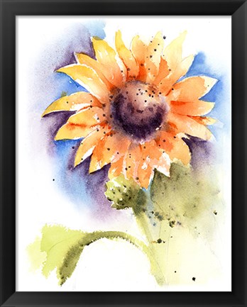 Framed Sunflower I Print