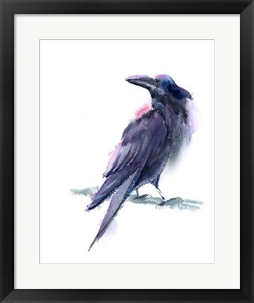 Framed Crow II Print