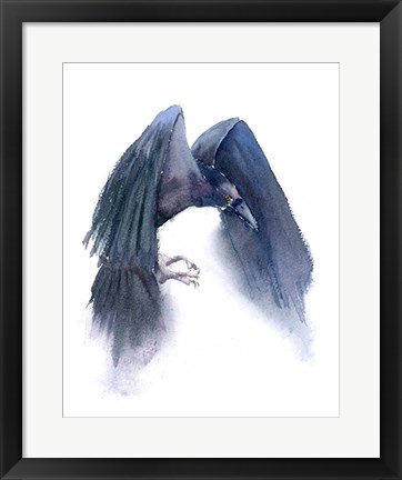 Framed Crow III Print