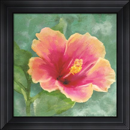 Framed Hibiscus I Print