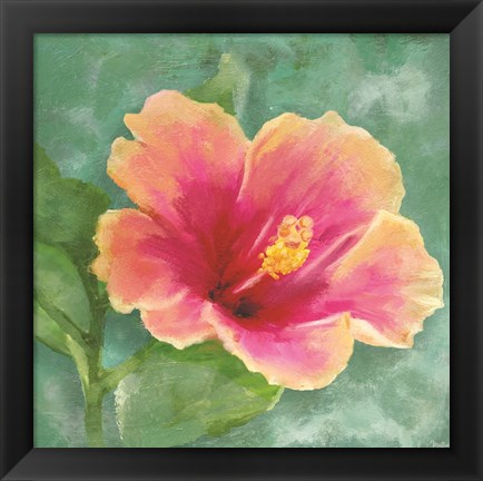 Framed Hibiscus I Print