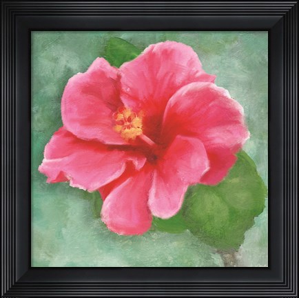 Framed Hibiscus II Print