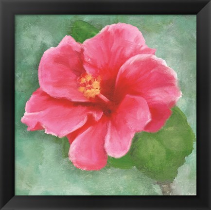 Framed Hibiscus II Print