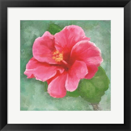 Framed Hibiscus II Print