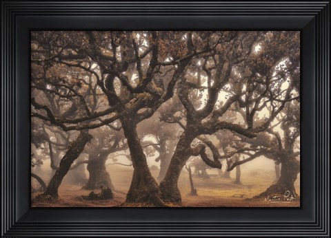 Framed Hidden Truth Print