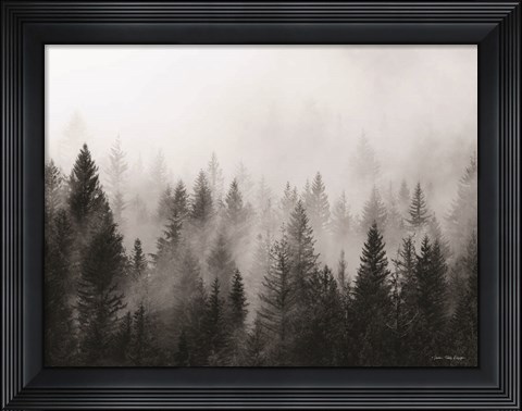 Framed Forest Print