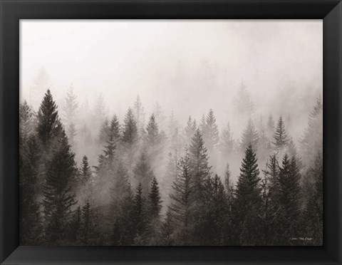 Framed Forest Print