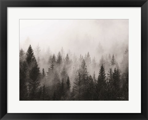 Framed Forest Print