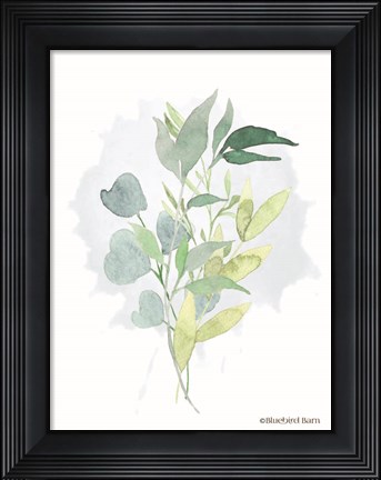 Framed Watercolor Greenery Series II Print