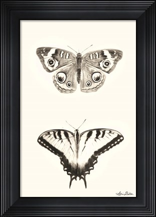 Framed Butterflies Print