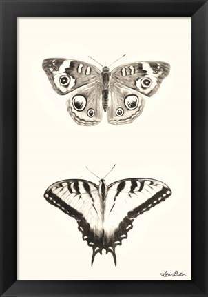 Framed Butterflies Print