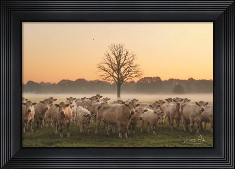 Framed Just Come Cows and A Dead Tree Print