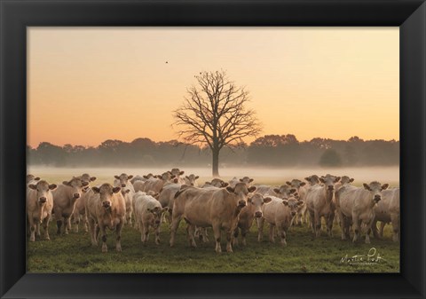 Framed Just Come Cows and A Dead Tree Print