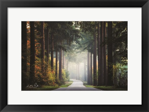 Framed Mysterious Roads Print