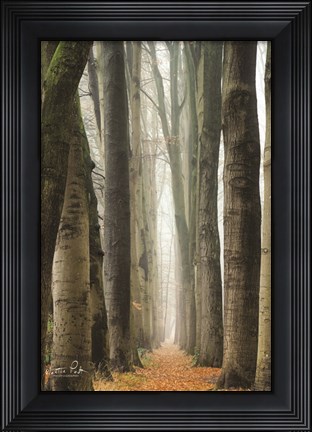 Framed Narrow Alley in the Netherlands Print
