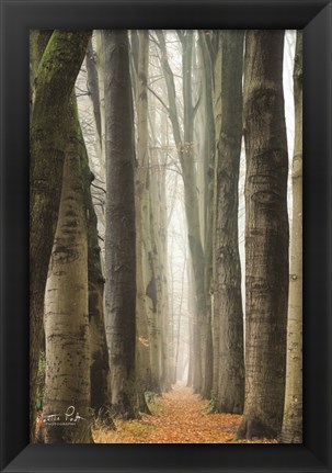 Framed Narrow Alley in the Netherlands Print