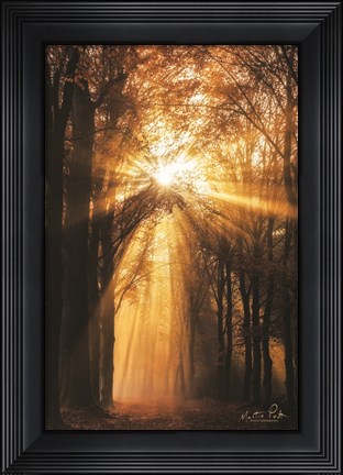 Framed Sunburst Print