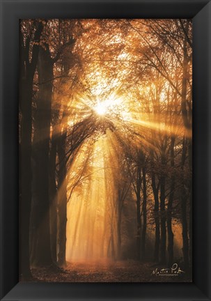 Framed Sunburst Print