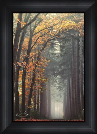 Framed To Another World Print