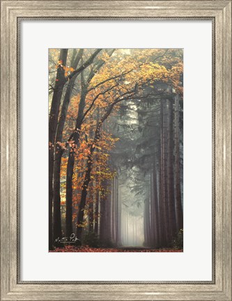 Framed To Another World Print