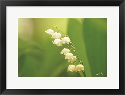 Framed Lily of the Valley Print