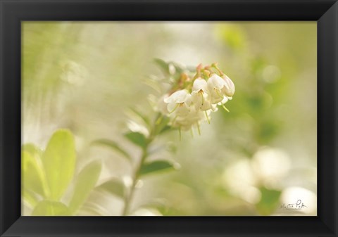 Framed Lingonberry Print